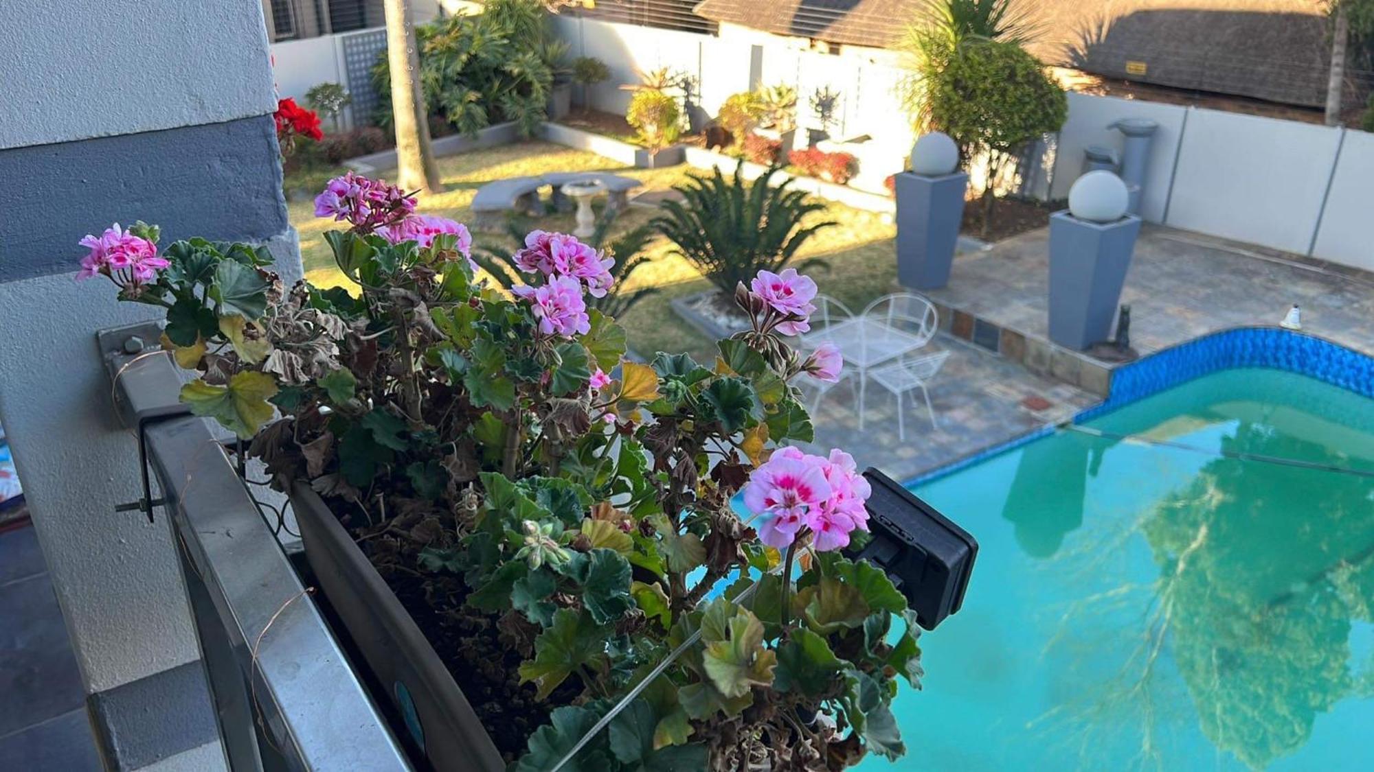 2 Op Terblanche Guesthouse Boksburg Dış mekan fotoğraf